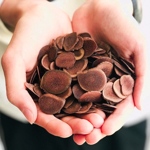 正品長白山梅花鹿茸片禮盒 優質泡酒原料與滋補圣品