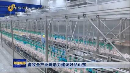 《山東新聞聯(lián)播》| 鳳祥股份全產(chǎn)業(yè)鏈助力建設(shè)好品山東，初級農(nóng)產(chǎn)品提質(zhì)增效