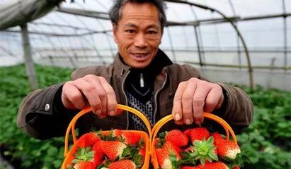 6億人口農(nóng)村電商 初級農(nóng)產(chǎn)品的機(jī)遇與挑戰(zhàn)