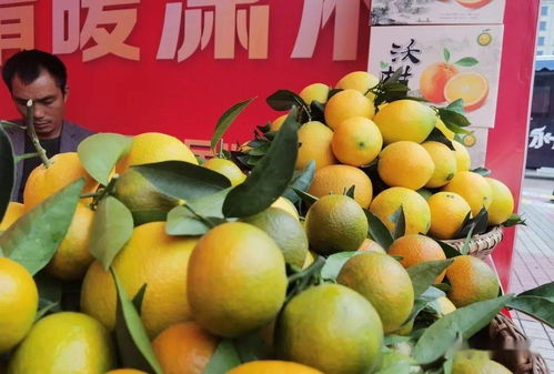 冷水灘 品味天然之味，開啟農產品“買買買”之旅