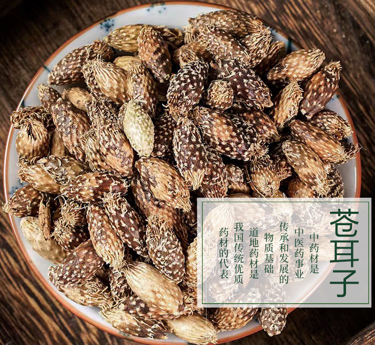 蒼耳子與去刺蒼耳 初級農產品的傳統價值與應用