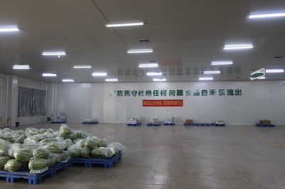 龍頭企業(yè)引領(lǐng)，搭乘“廣西好嘢”快車(chē)——平南縣農(nóng)產(chǎn)品物流發(fā)展駛?cè)肟燔?chē)道